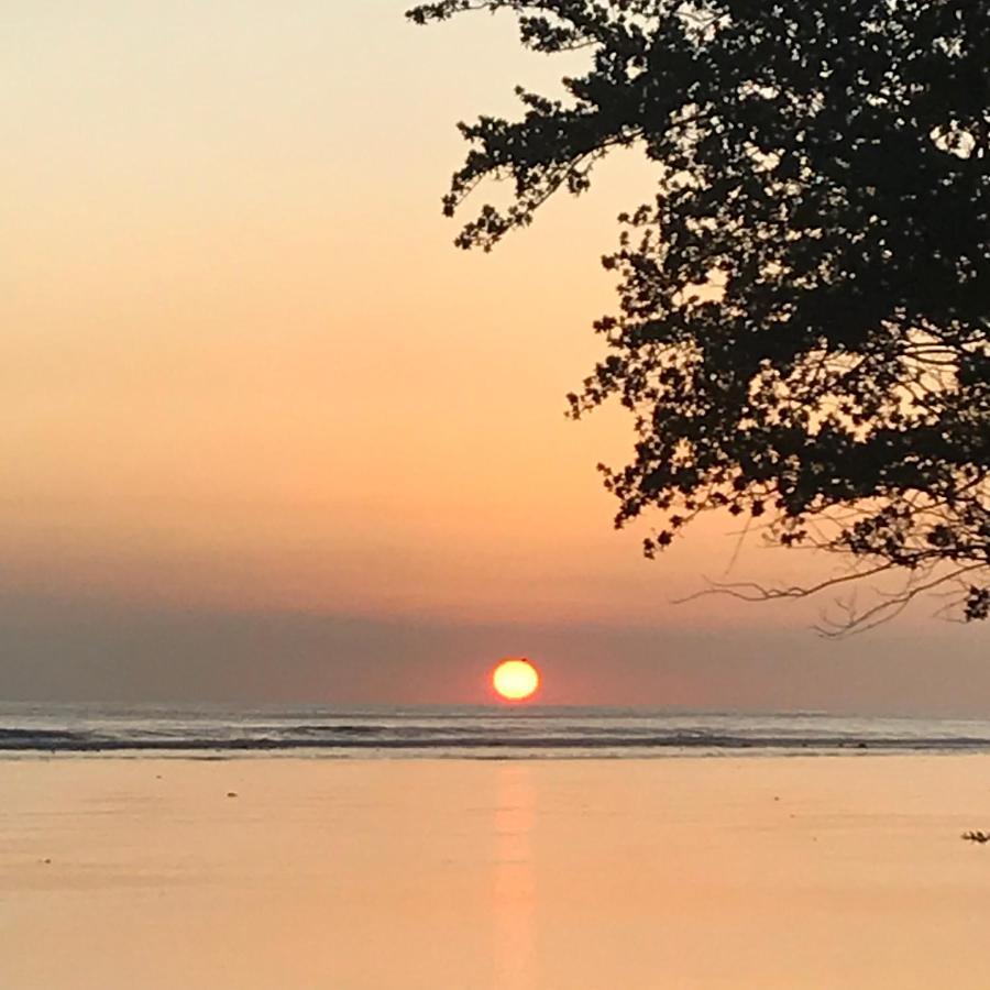 غيلي تراوانغان The Exile Sunset Bar & Bungalow المظهر الخارجي الصورة
